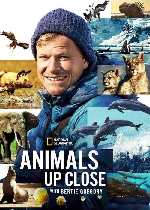 دانلود رایگان مستند Animals Up Close with Bertie Gregory 2023 TV Series