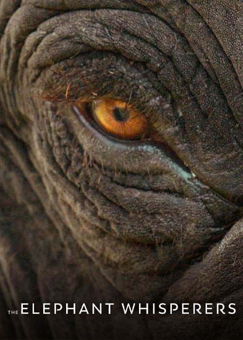 دانلود مستند نجواگران فیل ها با زیرنویس فارسی The Elephant Whisperers 2022