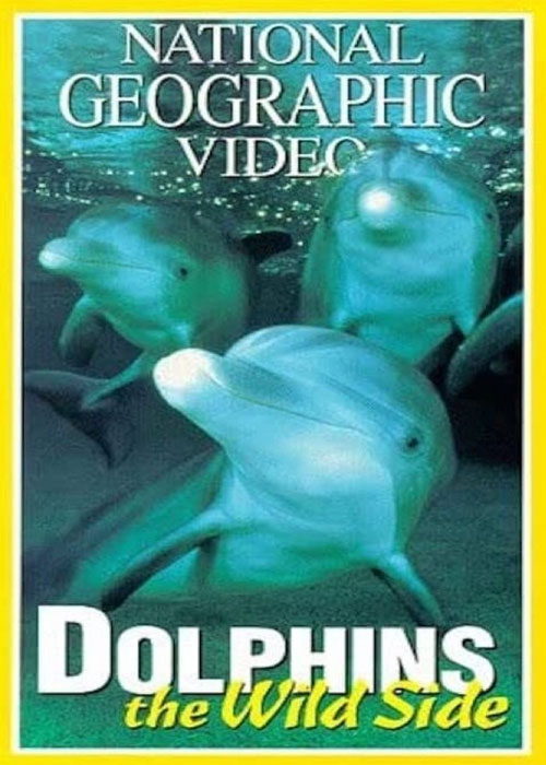 دانلود مستند دلفین های وحشی با دوبله فارسی Dolphins: The Wild Side 1999