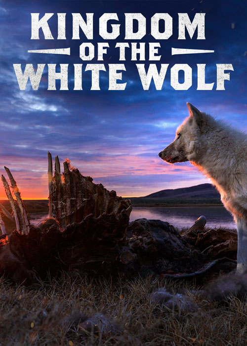 دانلود رایگان مستند قلمروی گرگ سفید Kingdom of the White Wolf 2019