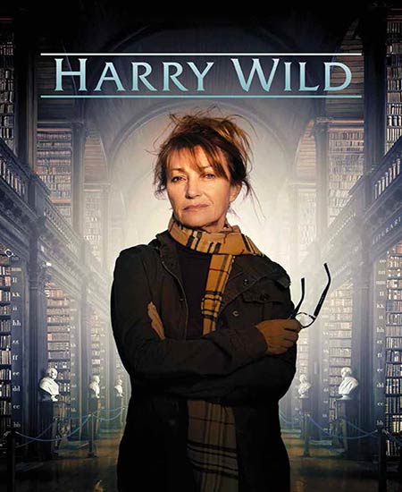 دانلود سریال هری وایلد با دوبله فارسی Harry Wild 2022 WEB-DL