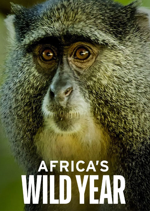 دانلود مستند سال حیات وحش آفریقا با زیرنویس فارسی Africa’s Wild Year 2021